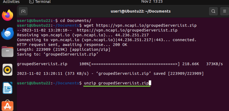 A screenshot of the Linux Ubuntu 18 Terminal window with a VPN configuration in progress.