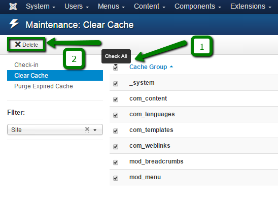 can i delete caches from my cpanel