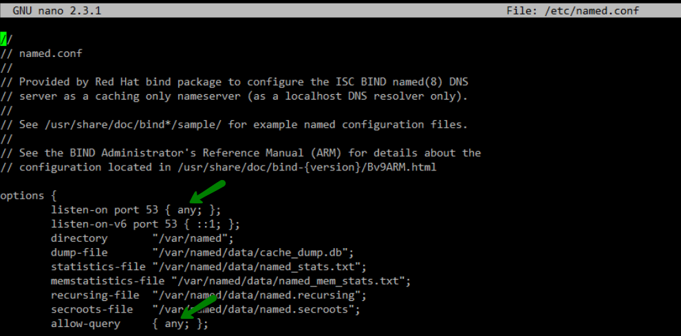 cpanel download dns zone file