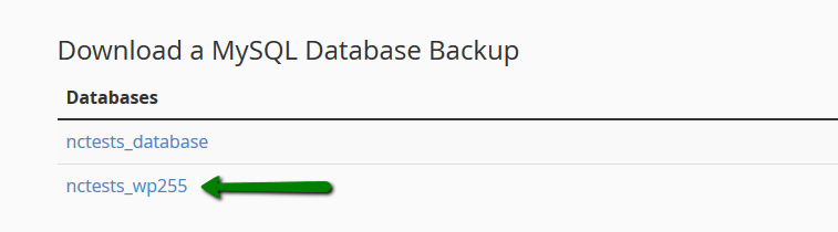 Download a MySQL database backup