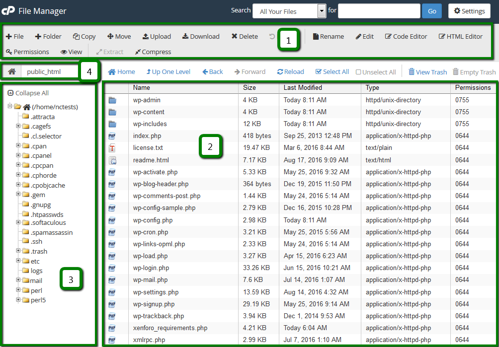 cpanel file manager download folder